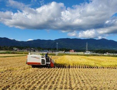 佐渡産コシヒカリ朱鷺と暮らす郷　レンジアップごはん　150g×20個