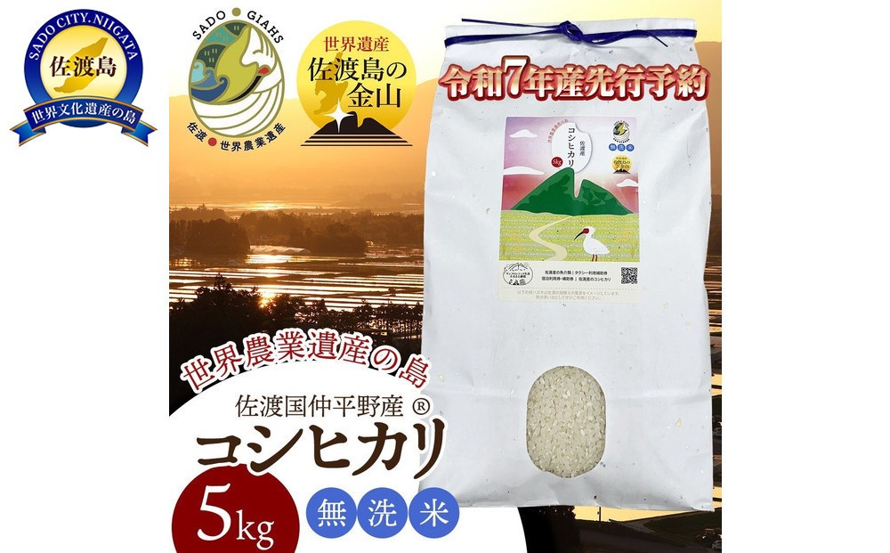 【新潟県佐渡】国仲平野産コシヒカリ＜数量限定・生産地域限定＞ 令和７年産 精米【無洗米】5kg 送料無料