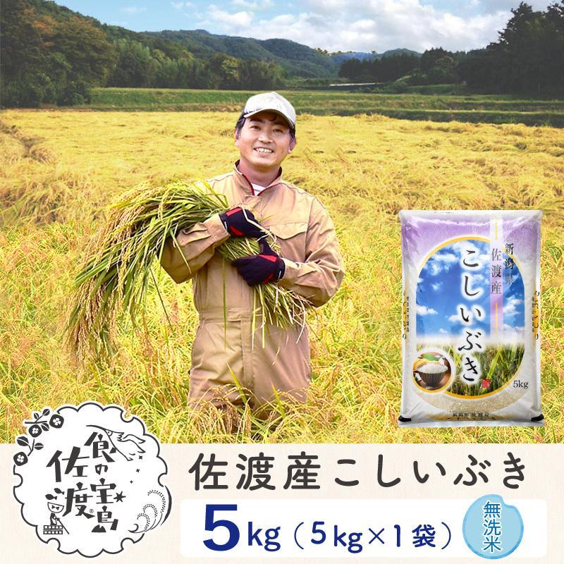 佐渡島産 こしいぶき 無洗米5kg×1袋【令和5年産】〜農薬5割減〜