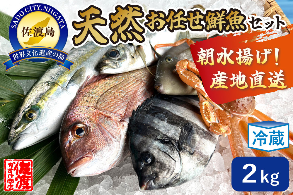佐渡産 天然お任せ鮮魚セット 2kg