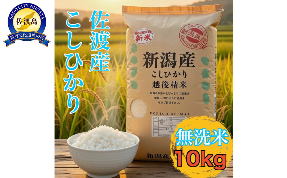 【佐渡島が誇る極上コシヒカリ】無洗米 佐渡産コシヒカリ 10kg（5kg×2袋）