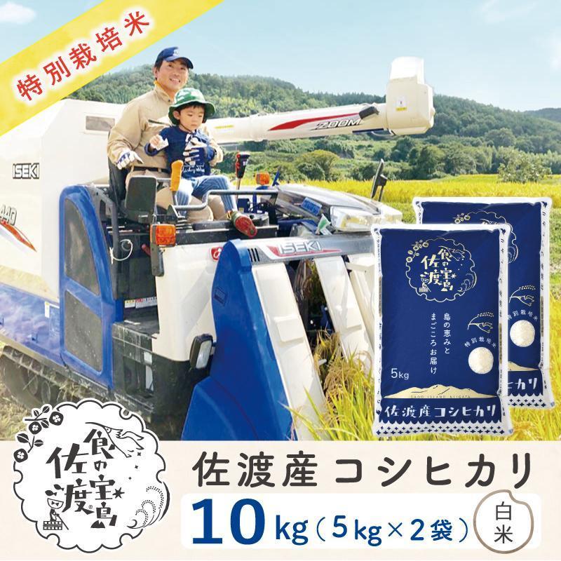 【新米】佐渡島産コシヒカリ 白米10Kg(5Kg×2袋)  特別栽培米 令和6年産 ”ベストファーマー認証受賞歴”