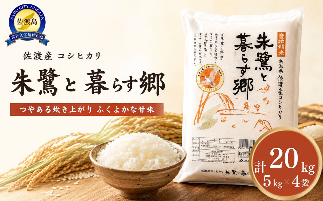 米 朱鷺と暮らす郷 佐渡産 コシヒカリ ( 20kg ) 【令和7年産】