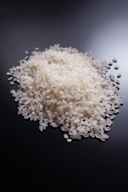 【佐渡産 こだわりの自然栽培米】令和7年度産 コシヒカリ 白米5kg