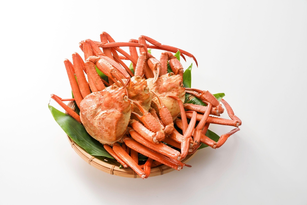 【2026年4月先行受付】『冷凍』佐渡島直送！浜茹で紅ズワイガニ（1杯400ｇ/3杯）ふるさと納税