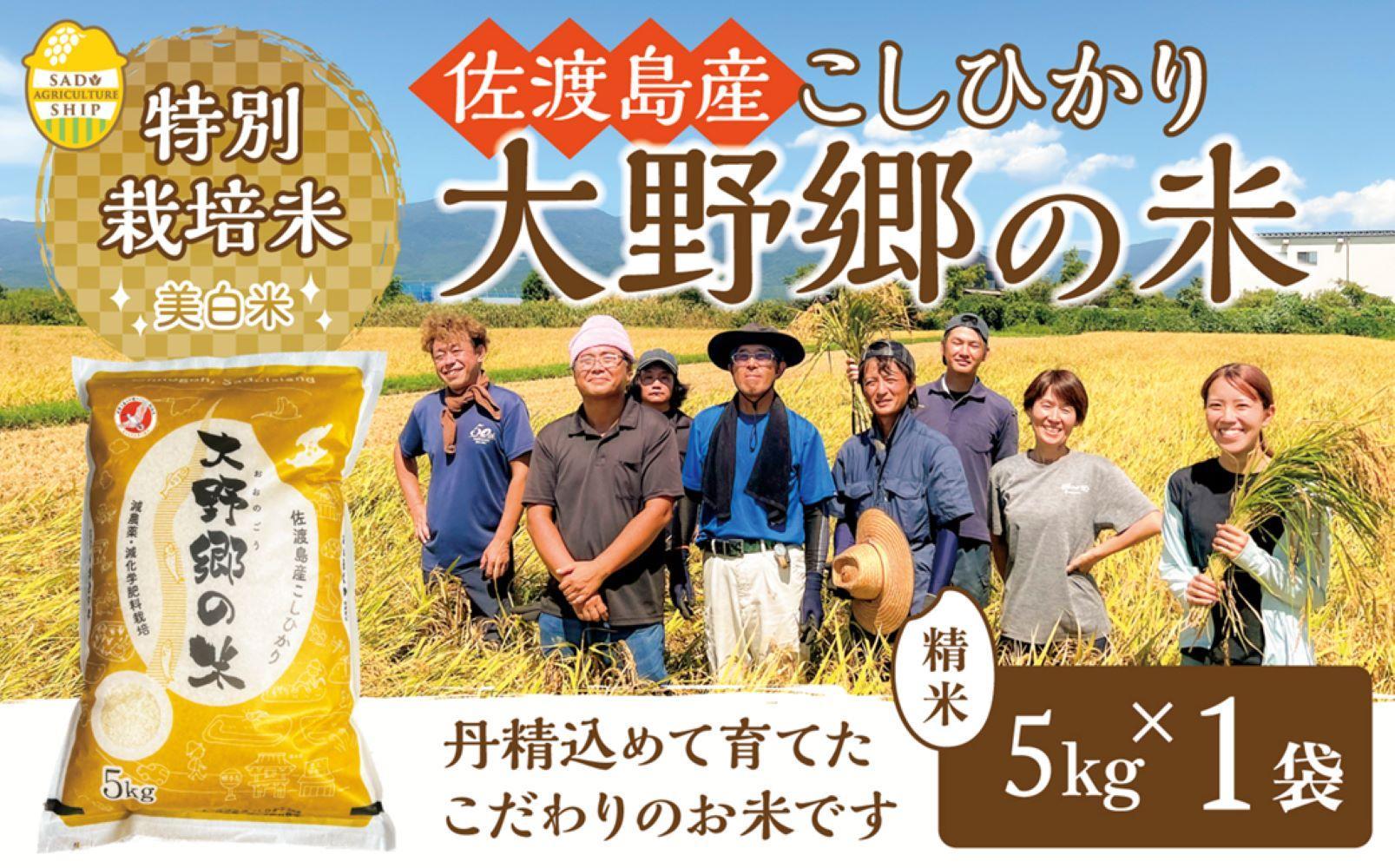 【令和６年産新米】佐渡島産 特別栽培米こしひかり「大野郷の米」 精米5kg×１袋