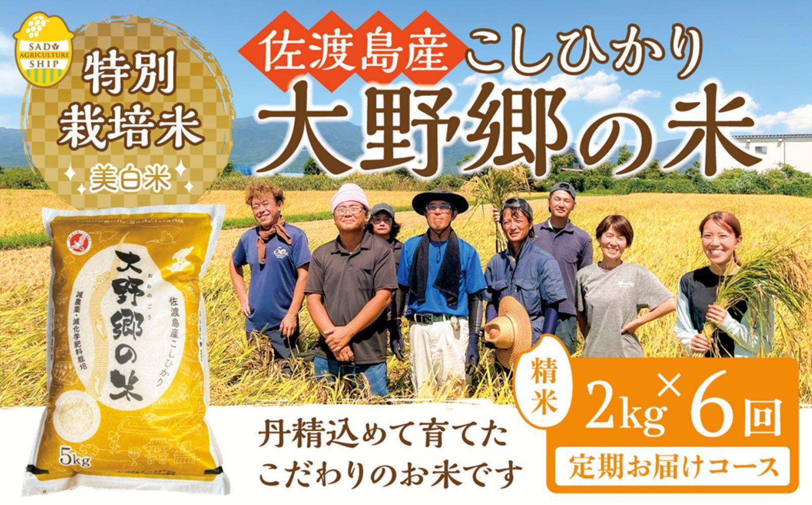 【令和６年産新米】佐渡島産 特別栽培米こしひかり「大野郷の米」精米2kg×6回 定期お届けコース