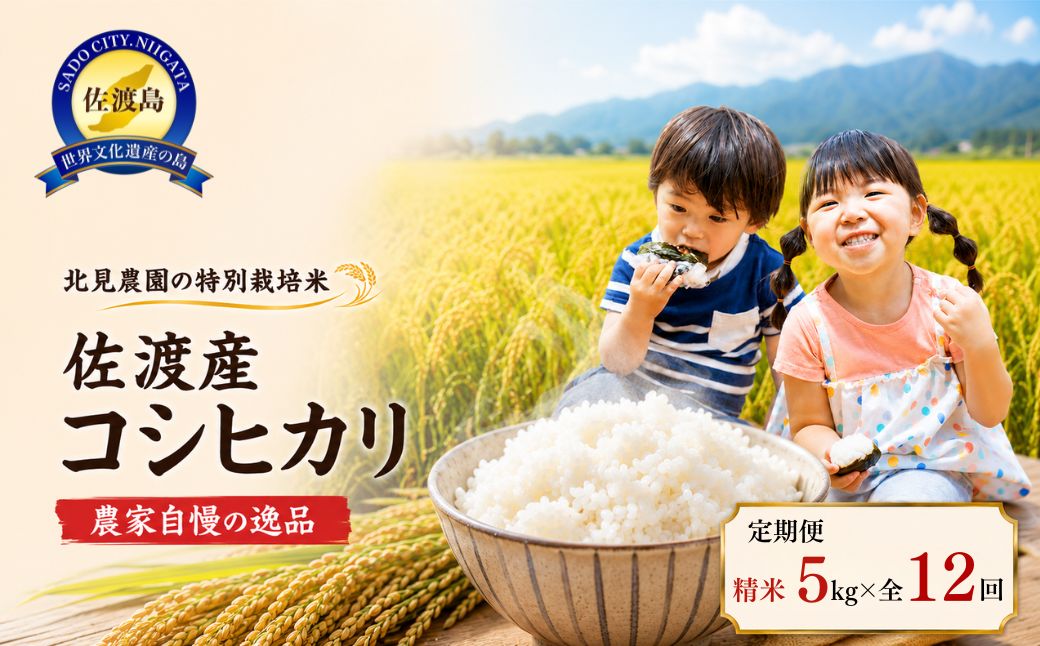 【先行予約・限定】令和8年産　特別栽培米　佐渡産コシヒカリ　農家直送　朱鷺も棲む　北見農園自慢の逸品　定期便（精米5kg×12回コース
