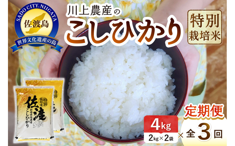 【レビューキャンペーン実施中！】令和7年産 佐渡 川上農産のコシヒカリ 定期便（2kg×2×全3回）