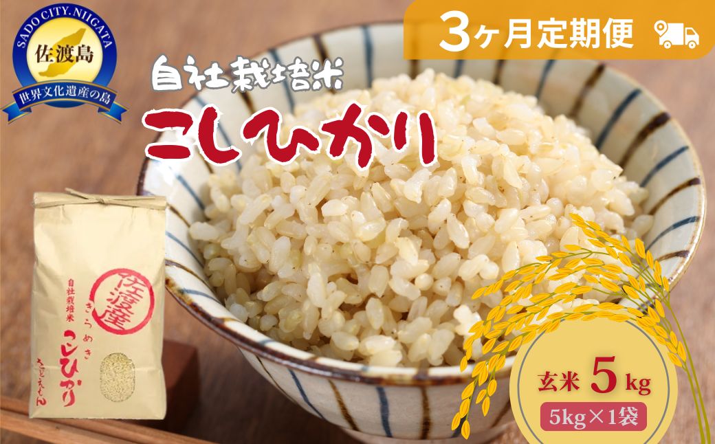 自社栽培米佐渡産こしひかり（玄米5kg）３カ月定期便
