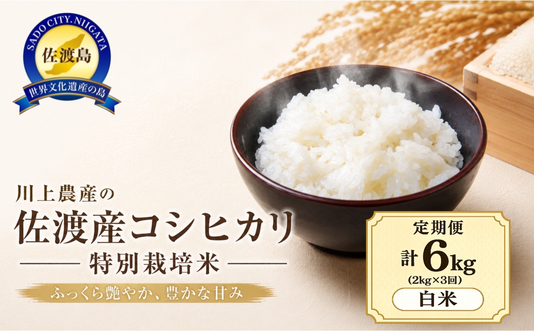 令和7年産 佐渡 川上農産のコシヒカリ 定期便（2kg×全3回）