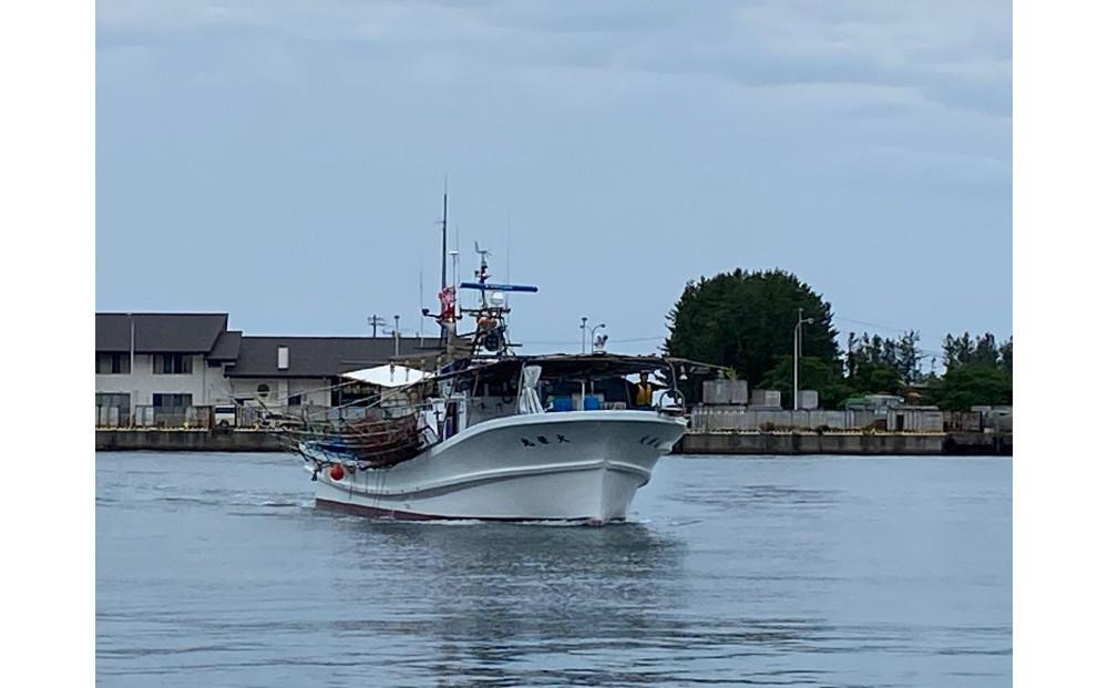 ãå
è¡äºçŽãã什å8幎1æäžæ¬ä»¥éçºéãäœæž¡ç£ åè®ãšãïŒçãšãïŒå·å 500gïŒçŽ40å°ŸïŒ