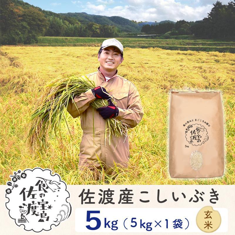 佐渡島産 こしいぶき 玄米5kg×1袋【令和5年産】〜農薬5割減〜