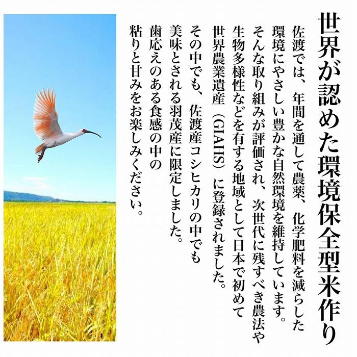 【毎月定期便】佐渡羽茂産コシヒカリ そのまんま真空パック 900g×6袋(精米)　全12回