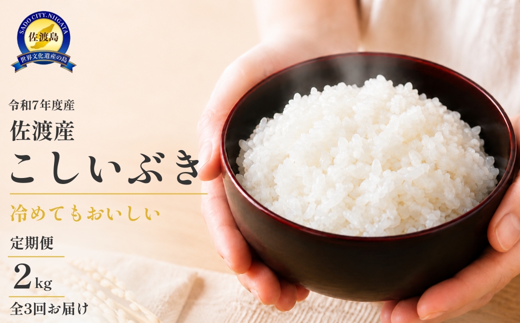 令和7年産 佐渡 川上農産のこしいぶき 定期便（2kg×全3回）