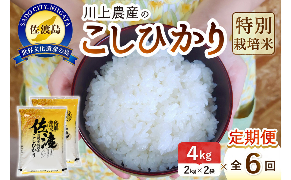 【レビューキャンペーン実施中！】令和7年産 佐渡 川上農産のコシヒカリ 定期便（2kg×2×全6回）