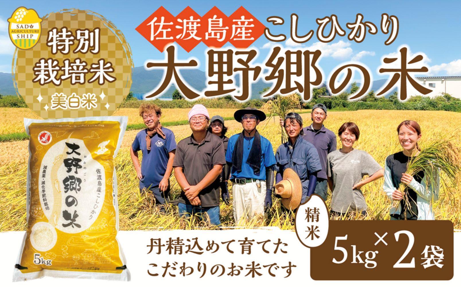 【令和６年産新米】佐渡島産 特別栽培米こしひかり「大野郷の米」精米5kg×2袋