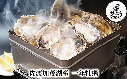 【佐渡加茂湖産】 一年牡蠣のカンカン焼き（殻付き牡蠣約2kg）