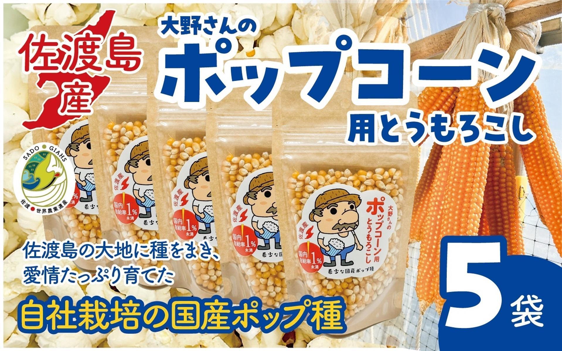 佐渡島産 大野さんのポップコーン用とうもろこし（180g×5袋入）