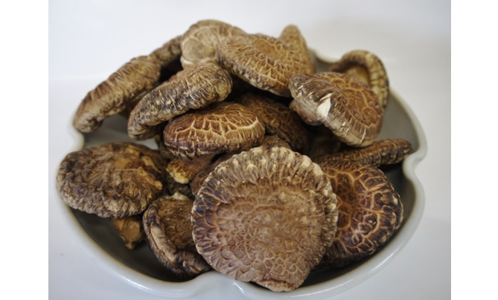菴先ク。逕」縲荵セ辯・縺励>縺溘¢縲鬮倡エ壹←繧薙%縲4陲九そ繝繝