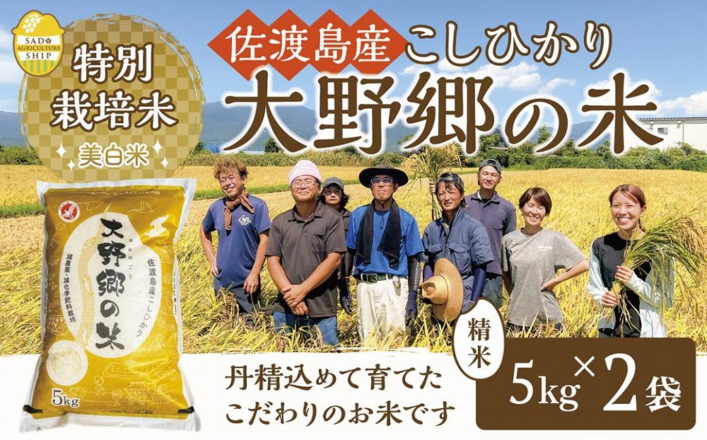 【令和５年産新米】佐渡島産 特別栽培米こしひかり「大野郷の米」精米5kg×2袋