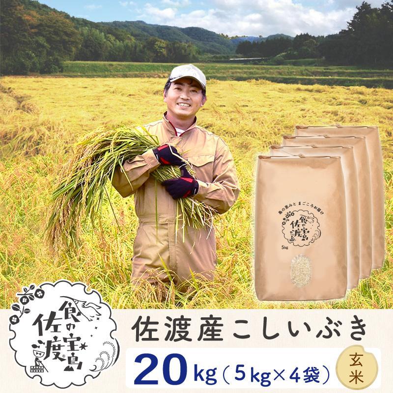 佐渡島産 こしいぶき 玄米20kg(5kg×4袋）【令和5年産】〜農薬5割減〜