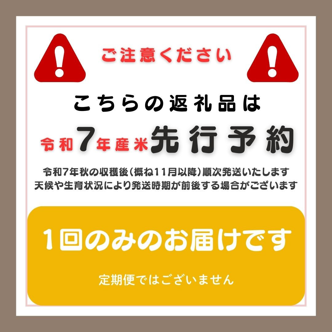 【新潟県佐渡】佐渡産の純粋コシヒカリ10kg＜数量限定＞ 令和７年産 精米【無洗米】5kg×2袋 　