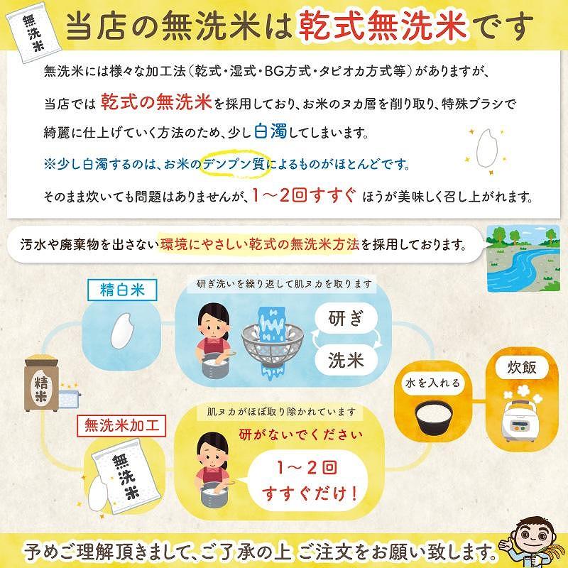 佐渡島産 新之助 無洗米5kg×1袋【令和6年産】