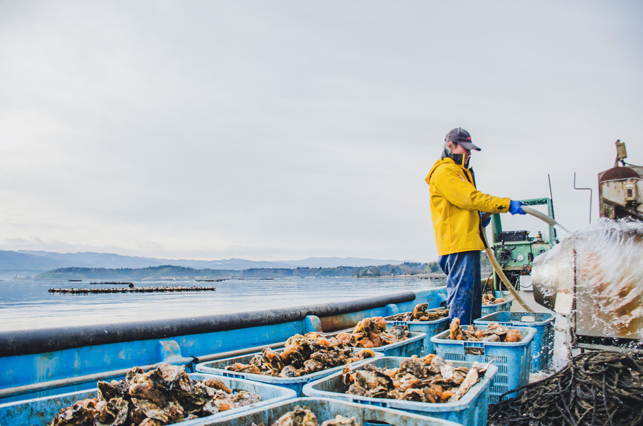 ãäœæž¡å èæ¹ç£ã äžå¹Žç¡è £ã®ã«ã³ã«ã³çŒãïŒæ®»ä»ãç¡è £çŽ2kgïŒ