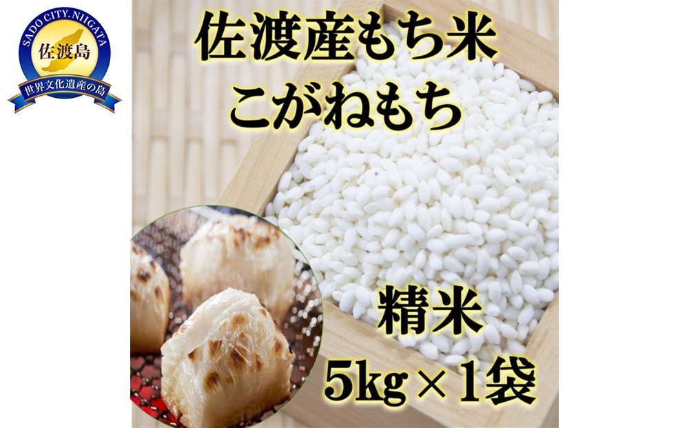 【令和7年産】佐渡産もち米 こがねもち 精米5kg×1袋