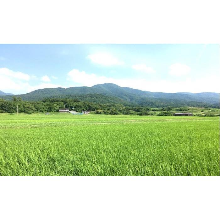 【令和7年産】佐渡高千産こしひかり2kg＆しそ味噌セット