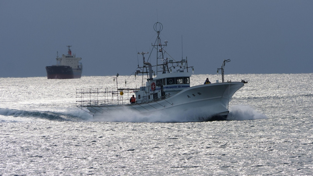 【2026年4月先行受付】『冷凍』佐渡島直送！浜茹で紅ズワイガニ（1杯400ｇ/3杯）ふるさと納税