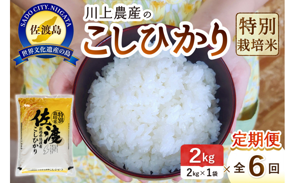 【レビューキャンペーン実施中！】令和7年産 佐渡 川上農産のコシヒカリ 定期便（2kg×全6回）