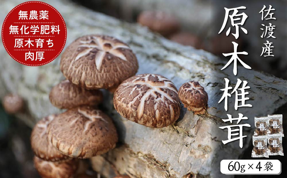 佐渡発酵　佐渡産原木椎茸60g×4