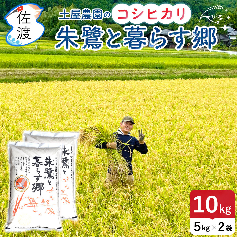 佐渡島産コシヒカリ「朱鷺と暮らす郷」無洗米10kg(5kg×2袋) 土屋農園 令和7年産 特別栽培米
