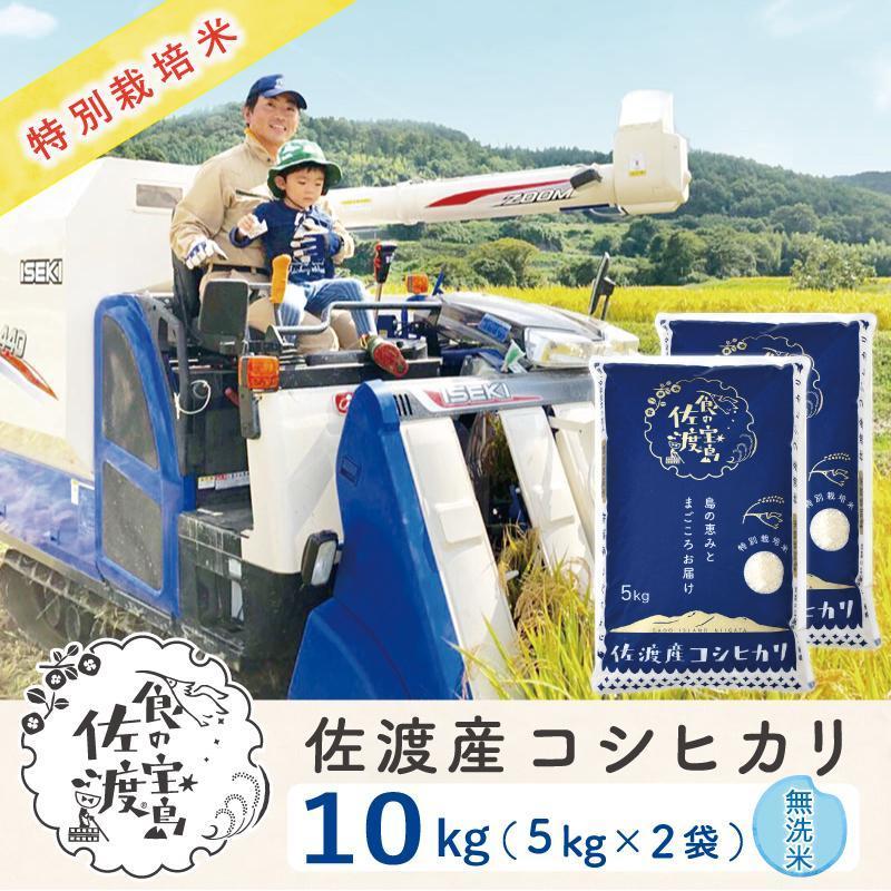 【新米】佐渡島産コシヒカリ 無洗米10Kg(5Kg×2袋)  特別栽培米 令和6年産 ”ベストファーマー認証受賞歴”