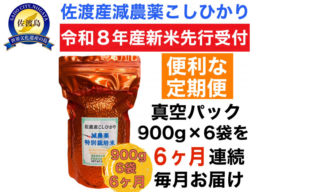 【令和8年産新米　定期便・先行予約】佐渡島産 減農薬特別栽培米こしひかり 真空パック 900g×6袋　全6回