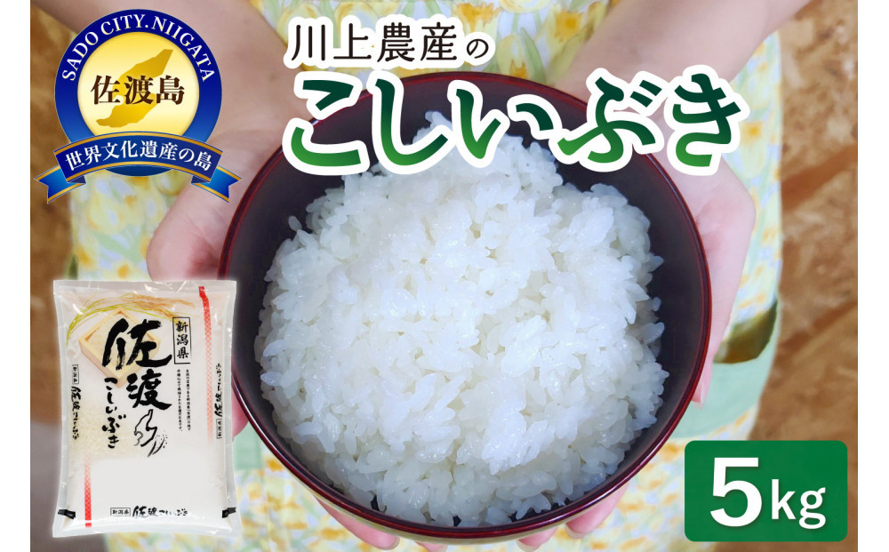 令和7年産 佐渡 川上農産のこしいぶき（5kg）