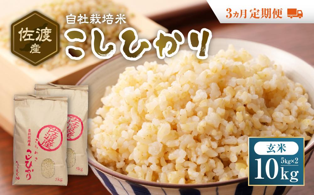 自社栽培米佐渡産こしひかり（玄米10kg）３カ月定期便