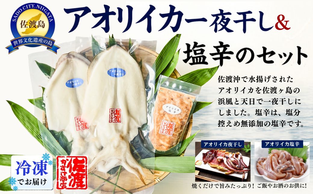 佐渡産 アオリイカ一夜干し1〜3袋&塩辛1袋のセット
