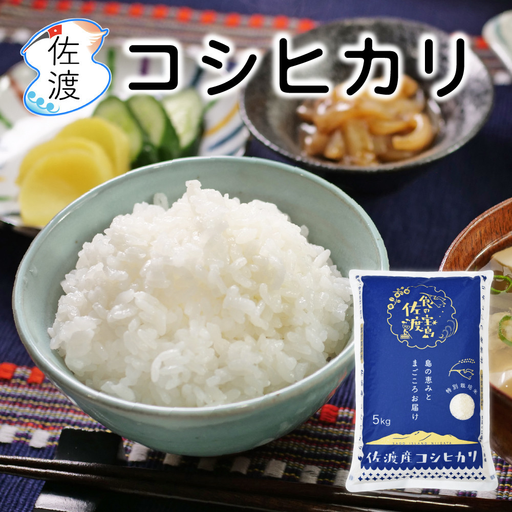 佐渡島産コシヒカリ 無洗米20kg（5kg×4袋） 農薬・化学肥料5割減【食の宝島佐渡】