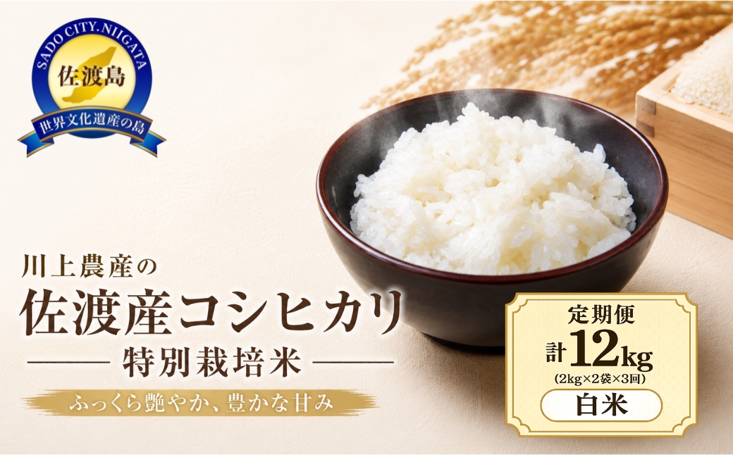 令和7年産 佐渡 川上農産のコシヒカリ 定期便（2kg×全6回）