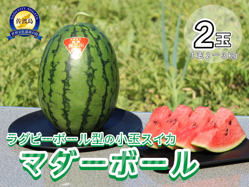 【先行予約】佐渡西三川・松丘農園の名産品小玉スイカ「マダーボール」2個（1玉2～3kg）