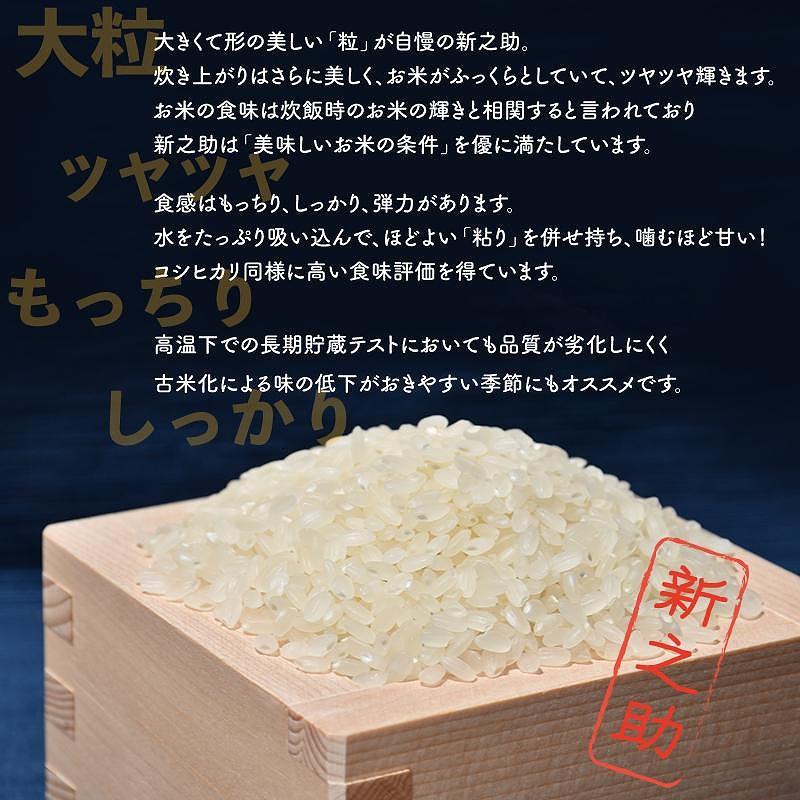 佐渡島産 新之助 無洗米5kg×1袋【令和6年産】