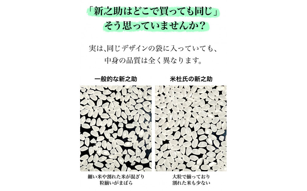 譁ー貎溽恁菴先ク。蟶ら肇 譁ー荵句勧 邊セ邀ウ 5kg縲蝉サ、蜥7蟷エ邀ウ縲