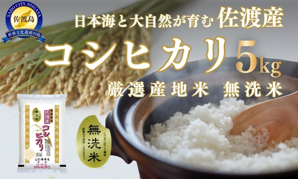 無洗米佐渡産コシヒカリ 5kg 令和7年産