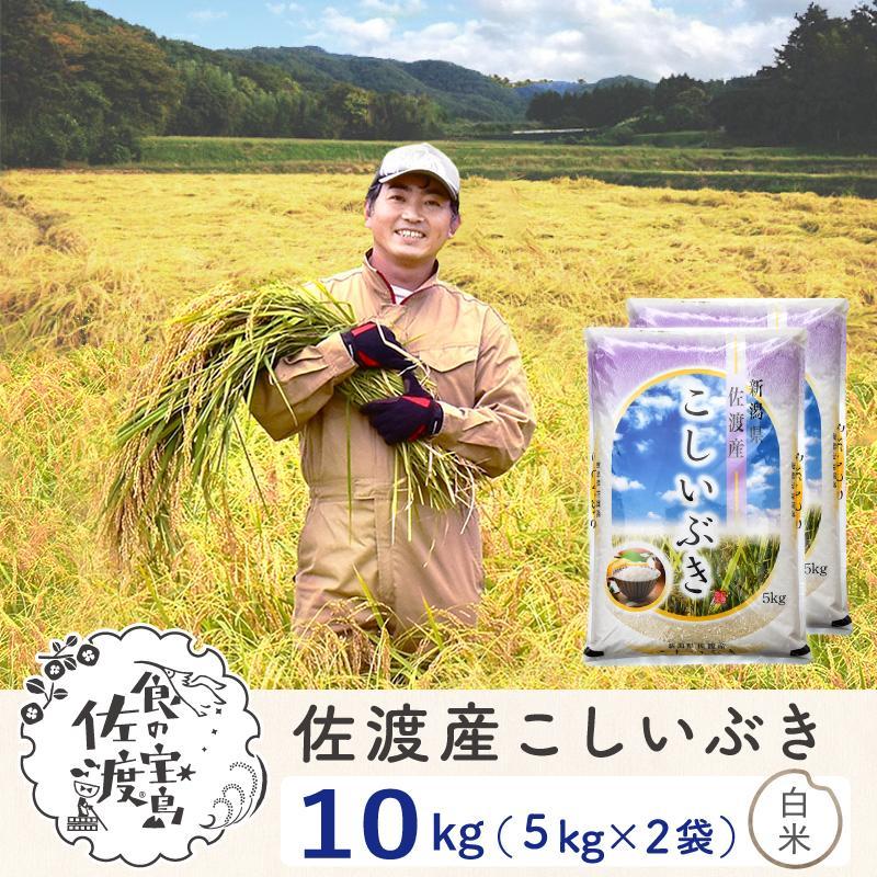 佐渡島産 こしいぶき 白米10kg(5kg×2袋）【令和5年産】〜農薬5割減〜