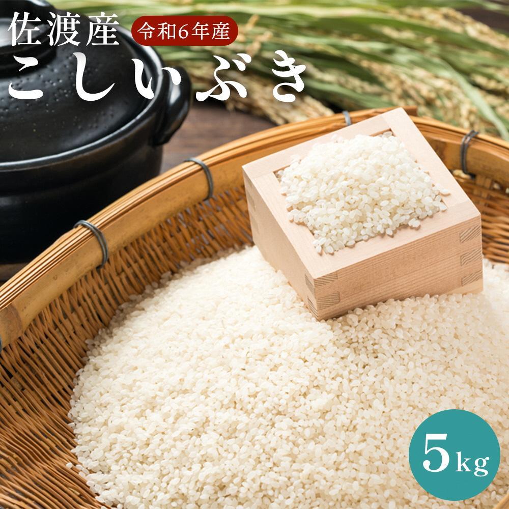 佐渡島産　こしいぶき　5kg　令和６年産