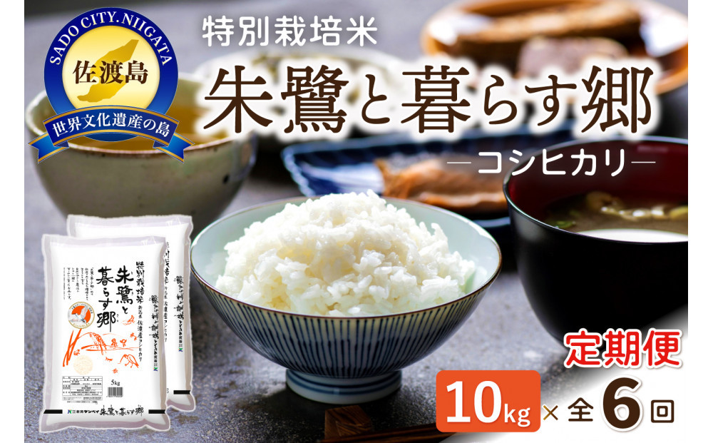 【6ヶ月連続お届け】佐渡産コシヒカリ 朱鷺と暮らす郷（10kg（5kg×2））