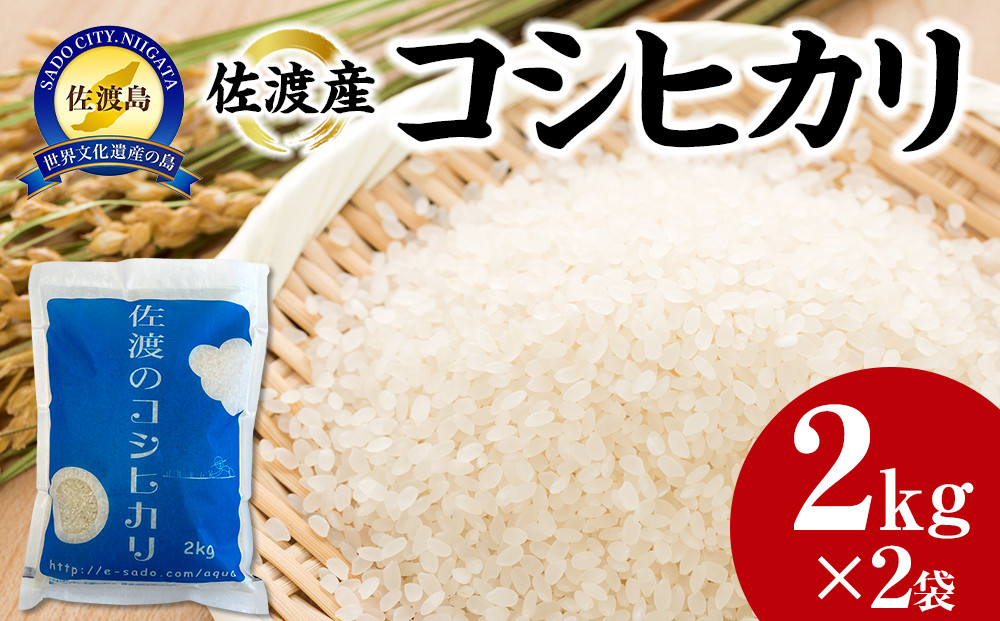 【令和7年産】佐渡産コシヒカリ2kg×2袋